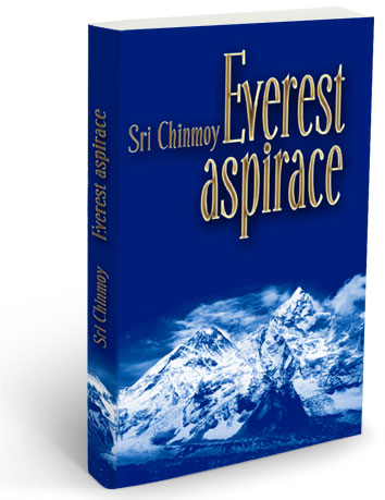 Everest Aspirace